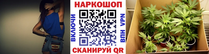 Все наркотики Петрозаводск Альфа ПВП  Гашиш  БУТИРАТ  КОКАИН  Марихуана 