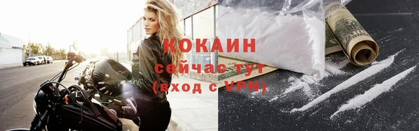 дживик Алзамай